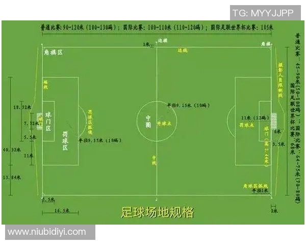 退役中国足球球星的传奇历程与后足球生涯发展分析